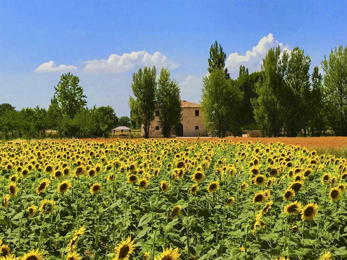Villa Licinia Foligno Buitenkant foto