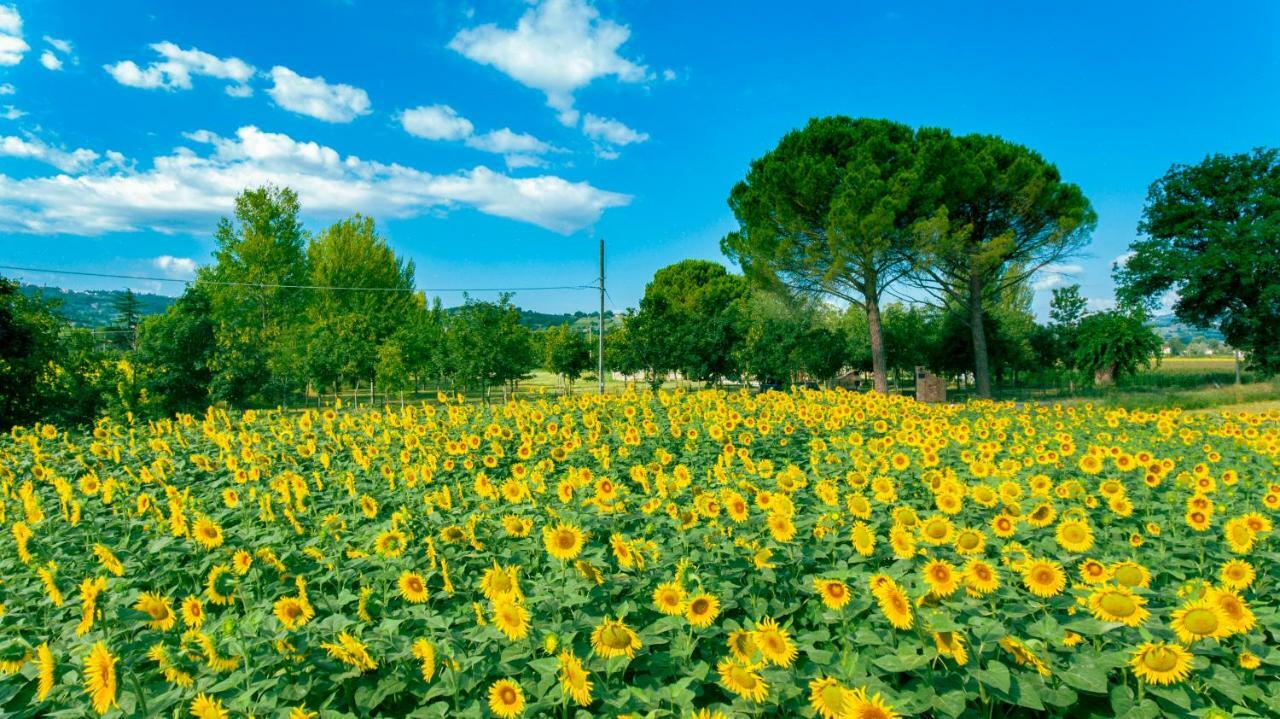 Villa Licinia Foligno Buitenkant foto
